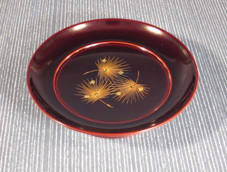 ysd-006
