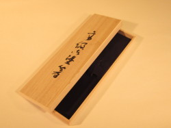 ysa-011