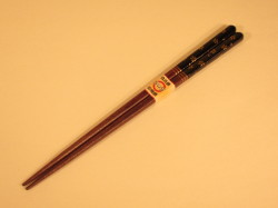 ysa-021